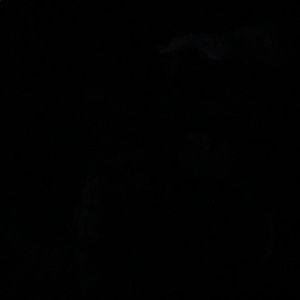 Meet your Posher, Pam